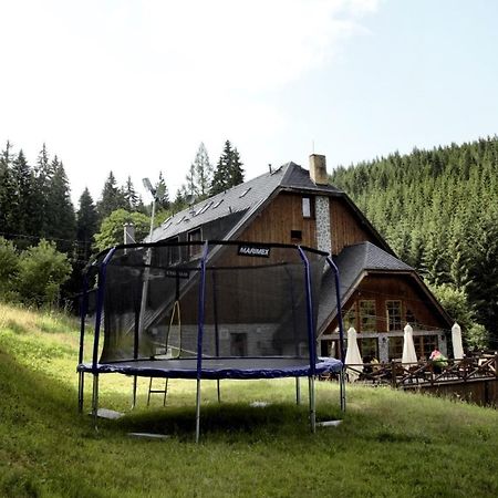 Horsky Hotel Vidly Karlova Studánka Zewnętrze zdjęcie