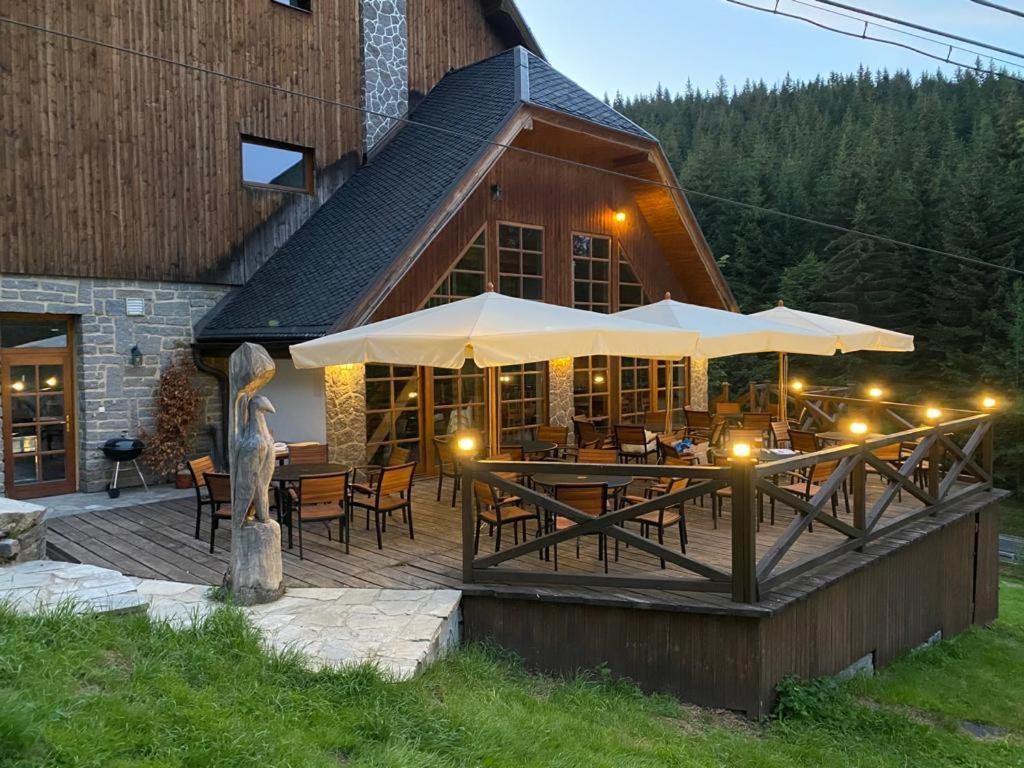 Horsky Hotel Vidly Karlova Studánka Zewnętrze zdjęcie
