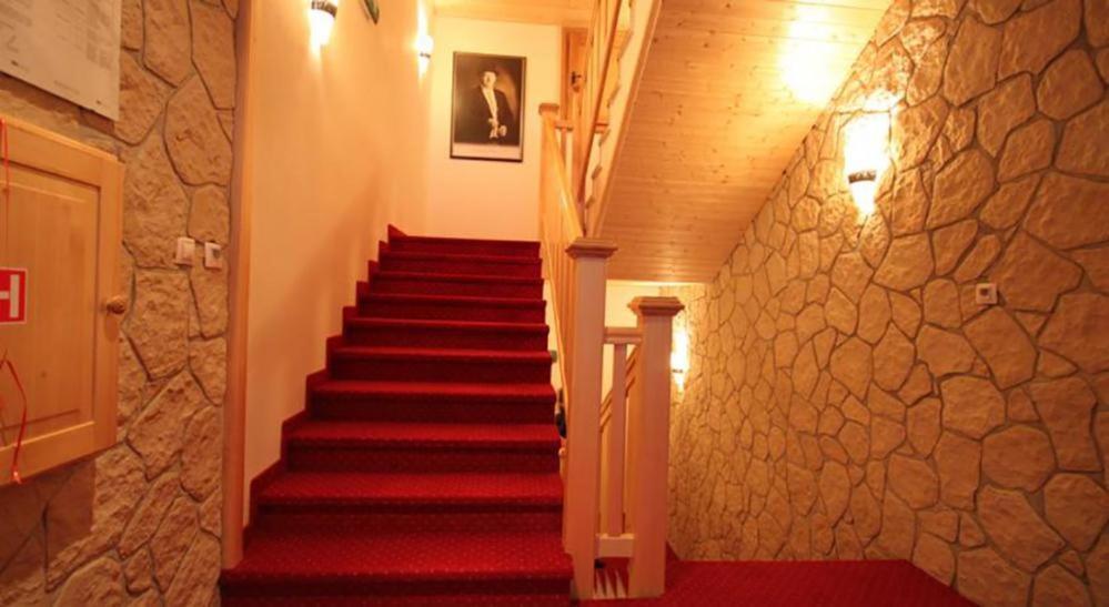 Horsky Hotel Vidly Karlova Studánka Zewnętrze zdjęcie
