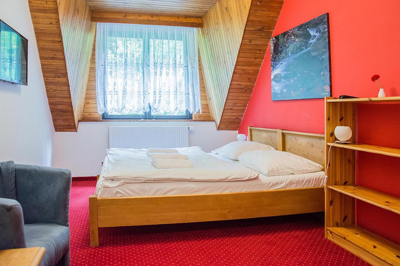 Horsky Hotel Vidly Karlova Studánka Zewnętrze zdjęcie