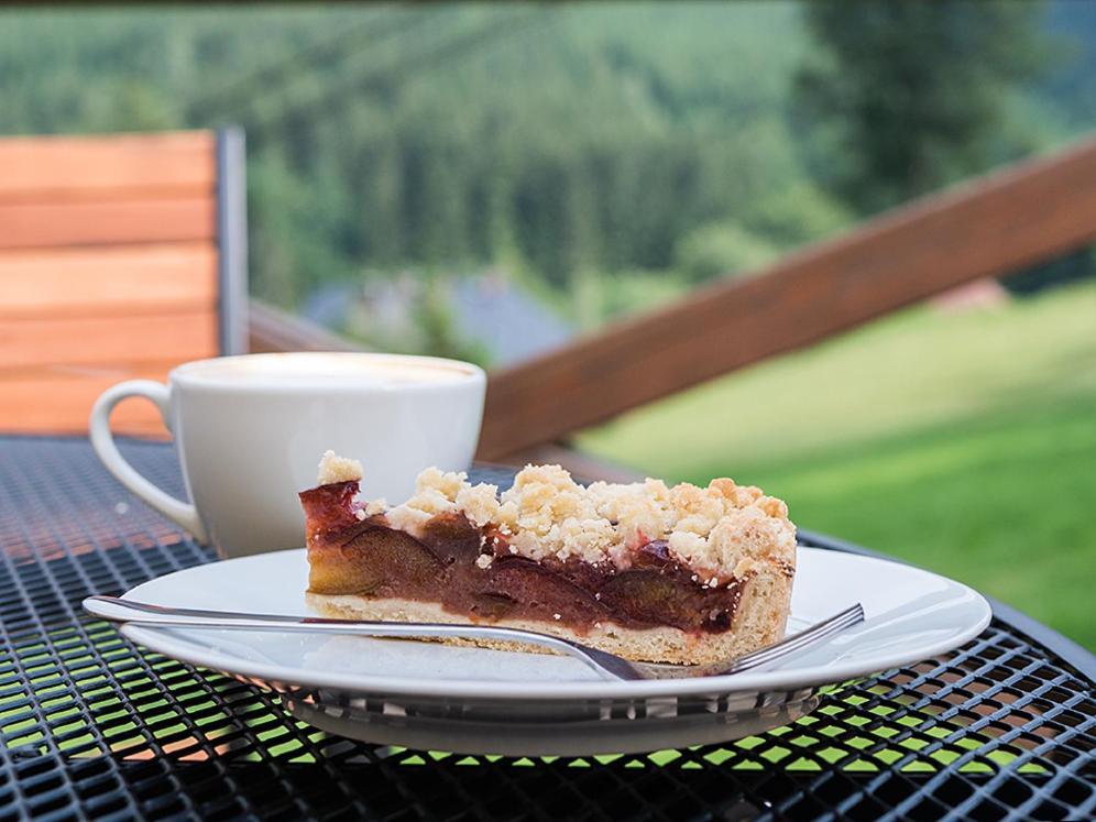 Horsky Hotel Vidly Karlova Studánka Zewnętrze zdjęcie