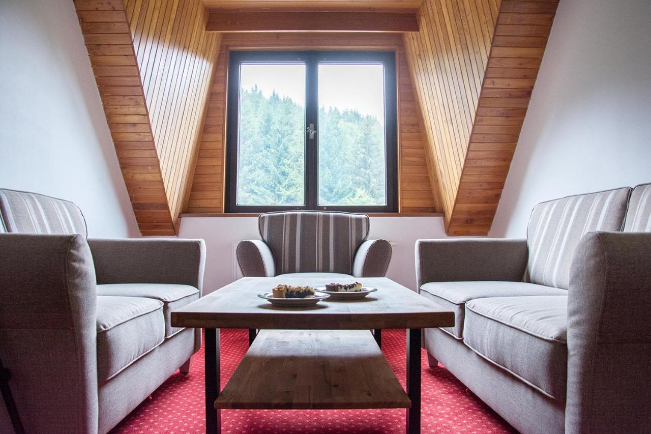 Horsky Hotel Vidly Karlova Studánka Zewnętrze zdjęcie